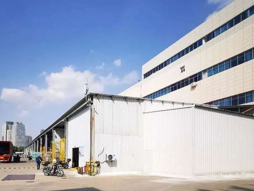 暗訪上海 一日游 野雞團(tuán)